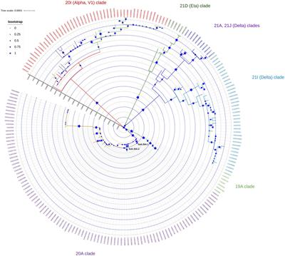 Molecular epidemiology and genetic characterization of SARS-CoV-2 in Kuwait: A descriptive study